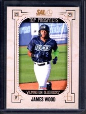 2023 South Atlantic League SAL Top Prospects James Wood  -  Washington Nationals