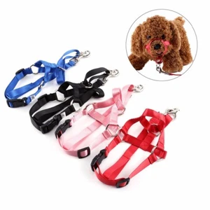Halter Harness Dog Puppy Training Halti Walk Lead No Pull Gentle Head Leader - Picture 1 of 60