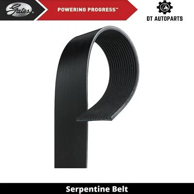 适用于 1999 年纯银卡车 LT9513 14.6 升 L6 柴油蛇形皮带 适用于风扇门 — 第 1/4 张图片