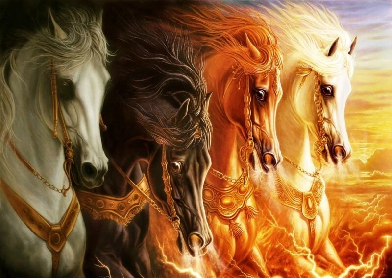 Laptop 17"  Notebook Netbook Skin Sticker Folie Schutz Aufkleber Pferd Pferde 1 - Bild 1 von 1