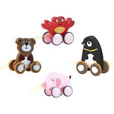 Animal Push and Pull Along Toy Baby Toy Walking Toy with String for Boys Girls