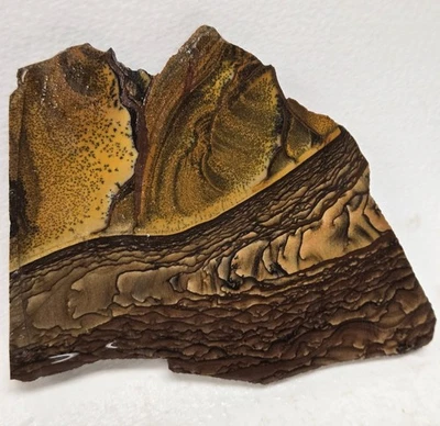 Deschutes Jasper Cabbing 82gm Gem Lapidary Slab Clean - Image 1 of 4