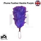 Glengarry  Balmoral Hats Cap Plume Feather Hackles 6" Plume Hackle Purple