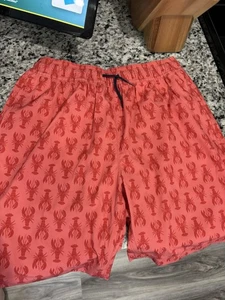 Boys Size 14 Swim Bottoms Crew cut (3 Pairs) - Picture 1 of 4