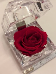 REAL Preserved Eternity Forever Red Rose Ring Box Proposal Valentine's NWOBOX - Picture 1 of 3