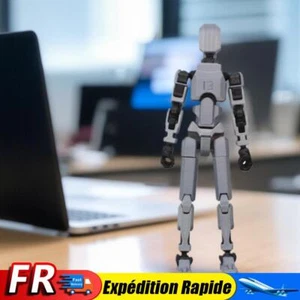 Figurine d'action Dummy 13, jouet mobile multi-articulé imprimé en 3D (gris) - Imagen 1 de 9
