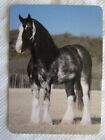 HORSE SWAP CARD~MODERN NEW~STUNNING COLOURED HEAVY HORSE#91MUCH NICER THAN PIC