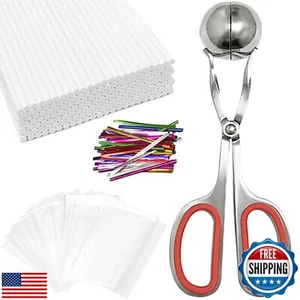 303Pcs Lollipop Cake Pop Molds, CHELIZIYA Lollipop Maker Mold Set, Non-Stick - Picture 1 of 5