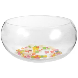 1 Set Hydroponic Plant Terrarium Glass Bowl Hydroponic Plant Planter And Pebble - Picture 1 of 12