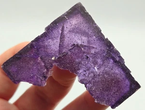 +++ FLUORITE ELMWOOD MINE, CARTHAGE, SMITH COUNTY, TENNESSEE +++ - Picture 1 of 9