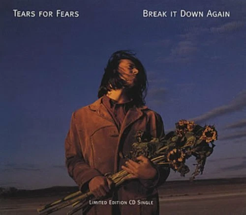 Tears for Fears Break it down again (1993) [Maxi-CD] - Bild 1 von 1