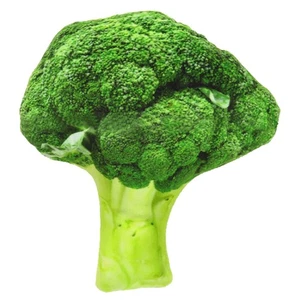 (Broccoli Dog Canvas)Pet Dog Plush Canvas Toy Simulation Vegetable Chew Sq UE - Picture 1 of 2