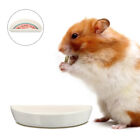 Ceramic Pet Bowl for Small Animals - Dogs, Cats, and Hamsters