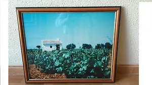 Cuadro fotografia Paisaje rural ya enmarcado. Decoracion rustica y campestre. - Foto 1 di 1