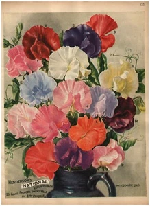 1926 Henderson Original Catalog Ad Page Sweet Pea Garden Flower Seed A071 - Picture 1 of 2