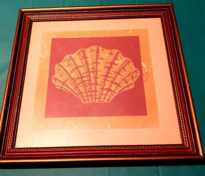 Картина морская раковина в рамке примерно 12 x 12 дюймов - Изображение 1 из 3