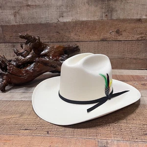 Men's Western Cowboy Rodeo Carin Style Hat with Feather Sombrero Carin Pluma - Picture 1 of 8