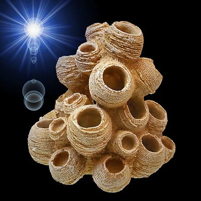 TOP Aquarium Deko 🍀 GARNELEN SEEPOCKEN HÖHLEN 🍀 Barsche Zubehör Höhle . - Bild 1 von 4