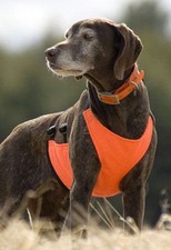 mendota dog products