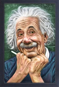 ALBERT EINSTEIN JAMES DANGER 13x19 FRAMED GELCOAT POSTER CHAOS THEORY GENIUS NEW - Picture 1 of 2