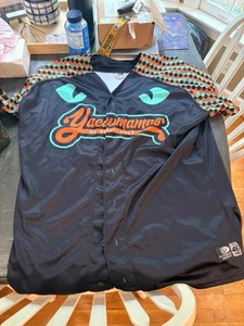 2023 Asheville Tourists MiLB Baseball Jersey yacumamas Miguel Ullola? Game worn? - Picture 1 of 7
