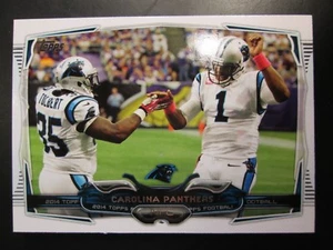 Juego de equipo Topps Carolina Panthers 2014 (14c) - Imagen 1 de 1