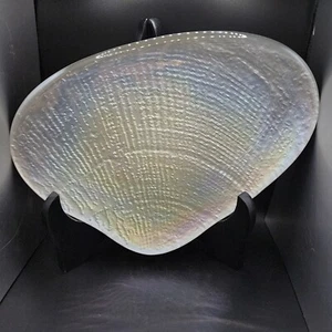 Gorgeous 12" Ivory Iridescent Glass Seashell/Clamshell Plate - Picture 1 of 7