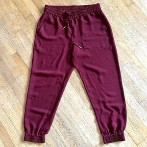 Ann Taylor Burgundy Maroon Wine Elastic Waist Pockets Dress Jogger Pants size M - Picture 1 of 9