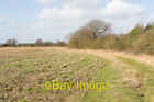 Photo 6x4 Footpath south of Manor Farm, Bramdean Hinton Ampner The footpa c2009