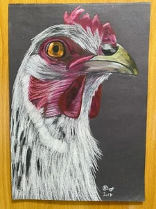 VERA WHITE SUSSEX CHICKEN HEN A4 One-Off Original Pastel Art Amateur Drawing - Picture 1 of 5