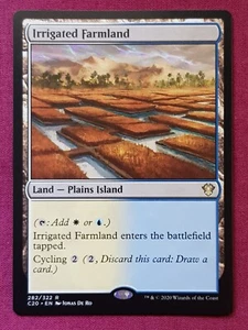 Magic The Gathering COMMANDER 2020 C20 IRRIGATED FARMLAND land card MTG - Foto 1 di 2