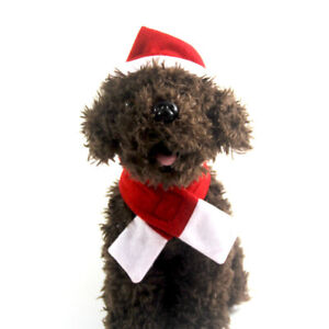Pet Cat&Dog Scarf Hat Set Winter Matching Cat&Dog Cape Christmas Hat Set