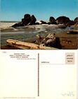 Samuel H. Boardman State Park Brookings Oregon OR Postcard Unused 49685
