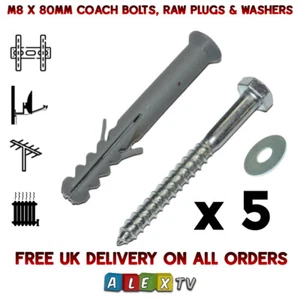5 x Coach Bolt Raw Plug & Washer Fijación Satélite TV Antena T&K Soportes M8x80mm - Imagen 1 de 3