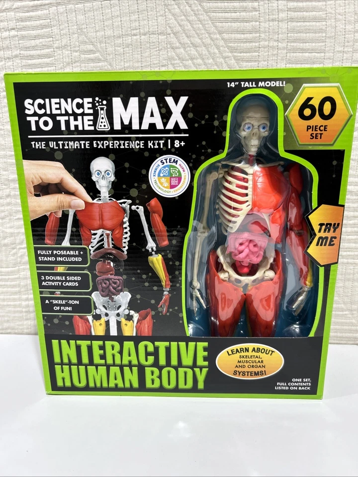 Be Toys Interactive Human Body Fully Poseable Anatomy Figure 14”. A4