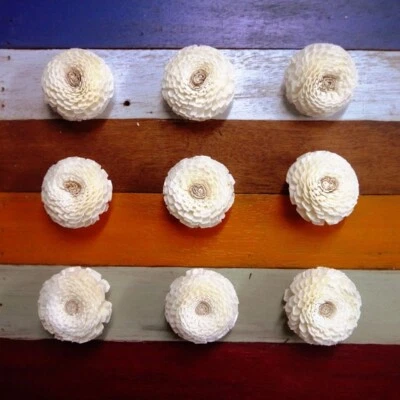 15 Zinnia Sola Wood Diffuser Flowers 5 cm Dia. for Decorate Craft - Image 1 of 3