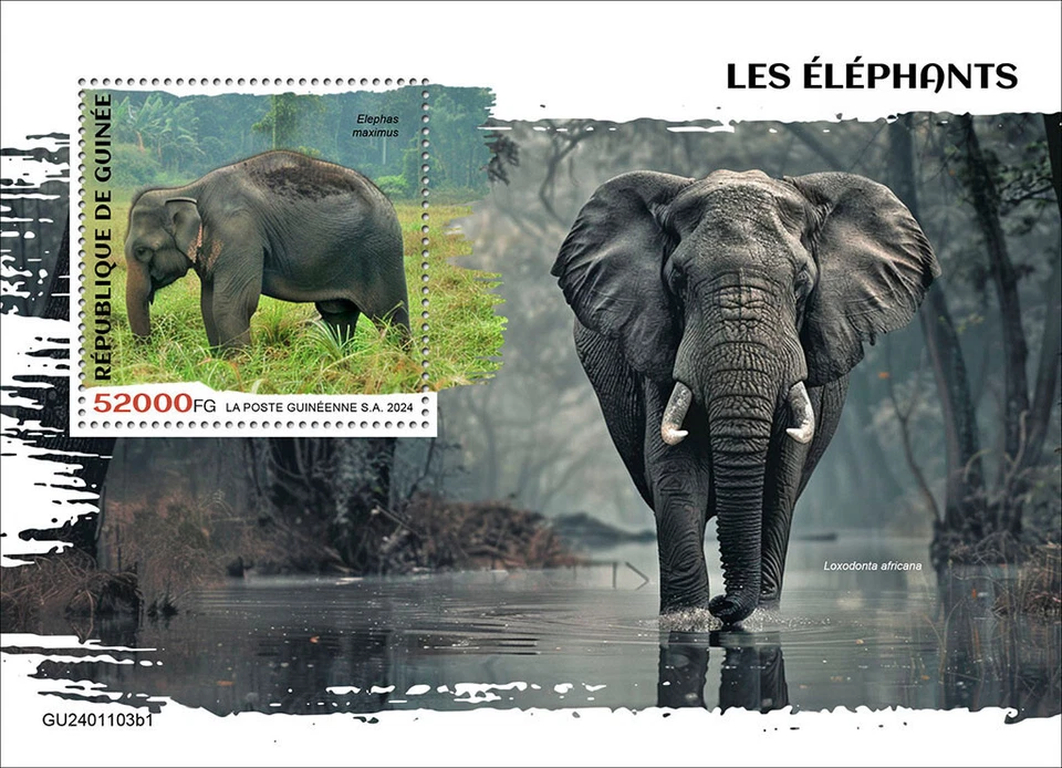 Elephants MNH Stamps 2024 Guinea S/S - Image 1 of 1