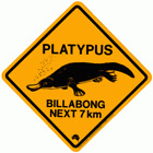 Medium Platypus Road Sign, 25x25cm