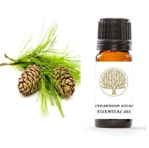 Aceite esencial Atlas de madera de cedro 100 % natural EkoFace aromaterapia Premium 10 ml - Imagen 1 de 3