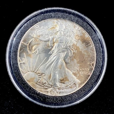 American Silver Eagle 1987 $1 1 oz tono plata fina .999 Foto 1 de 2