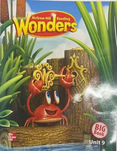 Kindergarten Wonders Big Book Unit 9 Grade K Teacher Resource Reading - Imagen 1 de 1