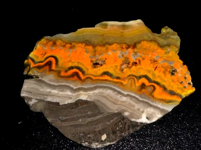 Jaspe abejorro (losa 6 1/4" x 4 7/8"-- cable áspero--pantalla Foto 1 de 3