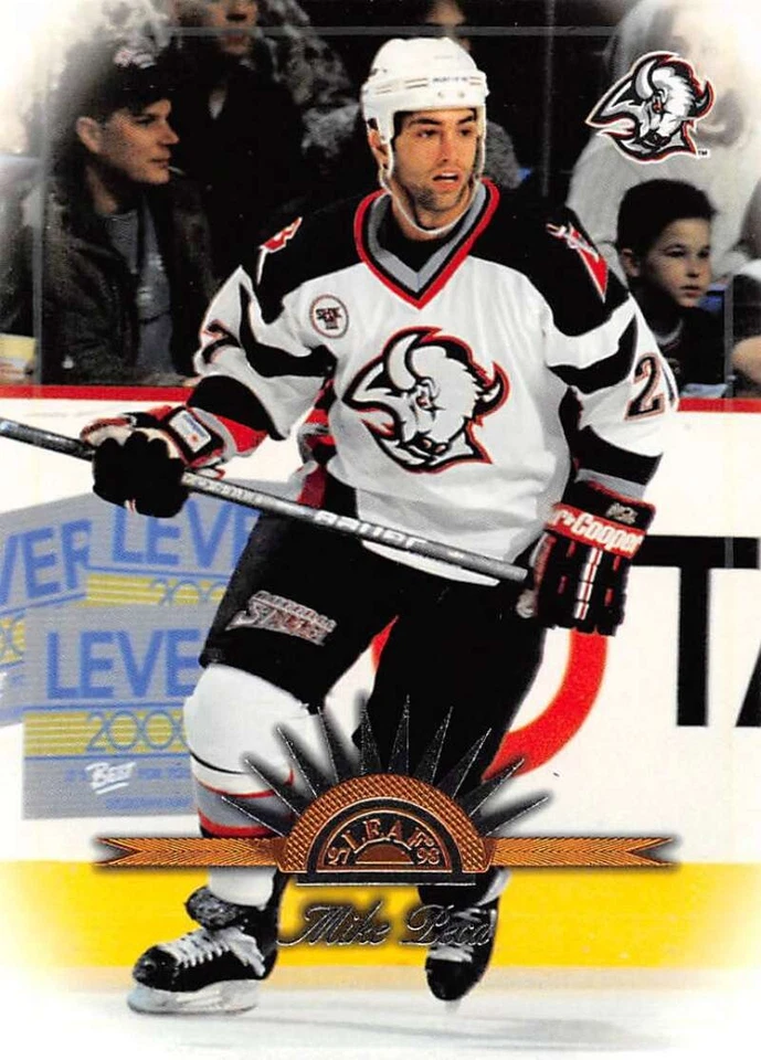 Tarjetas coleccionables de hockey Leaf NHL 1997-98 base/impresiones cortas/novatos a elegir de la lista Foto 1 de 1