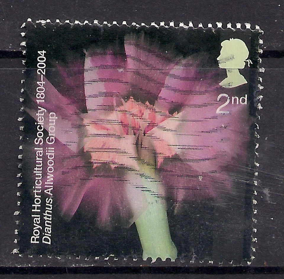 GB 2004 QE2 2nd  Royal Horticultural Society used SG 2456 ( B857 ) - Image 1 of 1