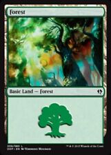 Basic Lands 10 MTG Forest (39), NM-Mint, English Duel Decks: Zendikar vs. Eldraz