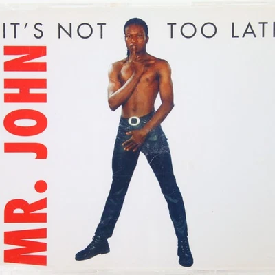 Music Musik MAXI CD Mr. John – It's Not Too Late Sehr Gut - Bild 1 von 2
