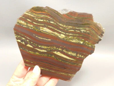 Tiger Iron Rough Rock Lapidary Stone Slab Cabbing #O1 - Image 1 of 4
