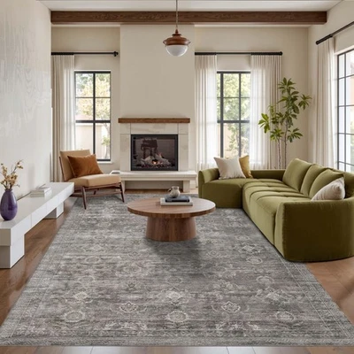 6x9 Area Rugs for Living Room Bedroom, Large Washable Rug, Grey Vintage Retro... - Image 1 of 4