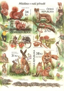 Czech Republic 2024** Animals in our nature with their young - Picture 1 of 1