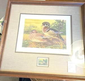 1ST 1981 S.C. Migratory Waterfowl Stamp Print Pro Framed. Lee LeBlanc 3037/4500 - Picture 1 of 6